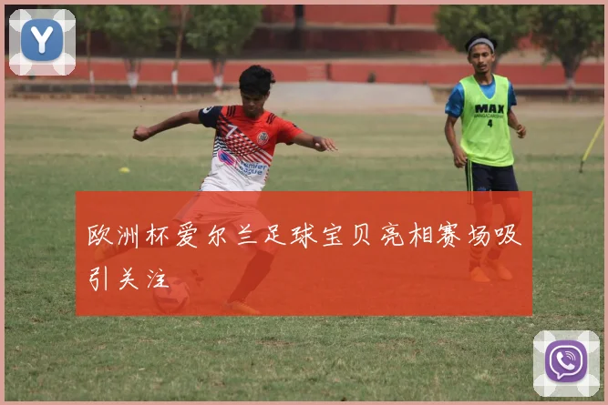 欧洲杯爱尔兰足球宝贝亮相赛场吸引关注