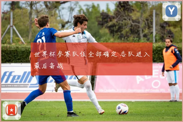 世界杯参赛队伍全部确定 各队进入最后备战
