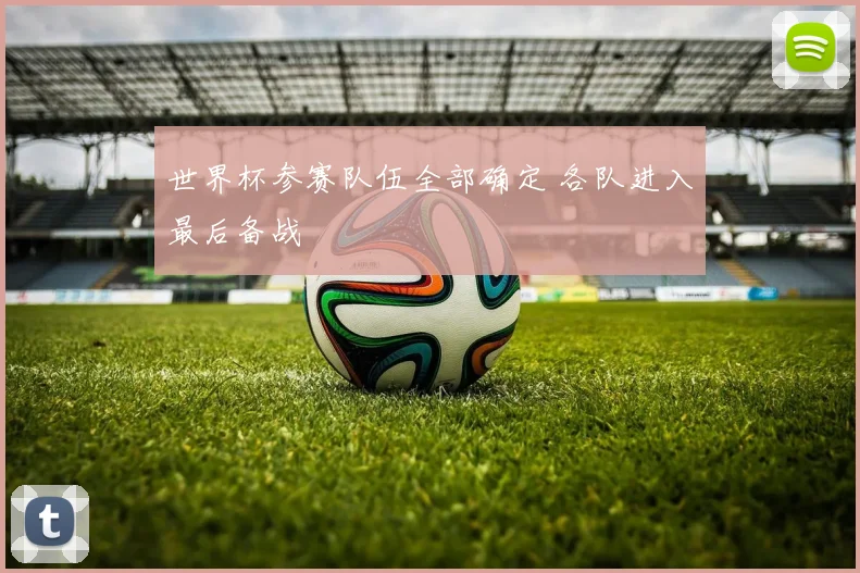 世界杯参赛队伍全部确定 各队进入最后备战