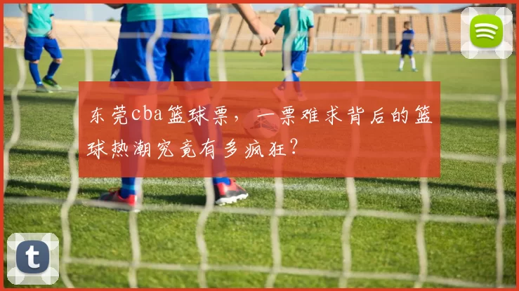 东莞cba篮球票，一票难求背后的篮球热潮究竟有多疯狂？