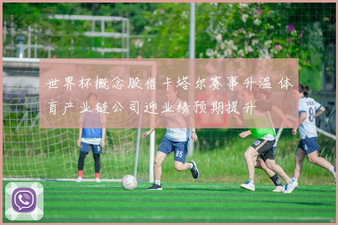 世界杯概念股借卡塔尔赛事升温 体育产业链公司迎业绩预期提升